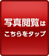 ʐ^{͂^bv